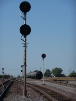 Searchlights Standing Tall